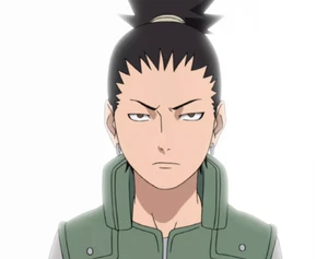 Shikamaru Nara